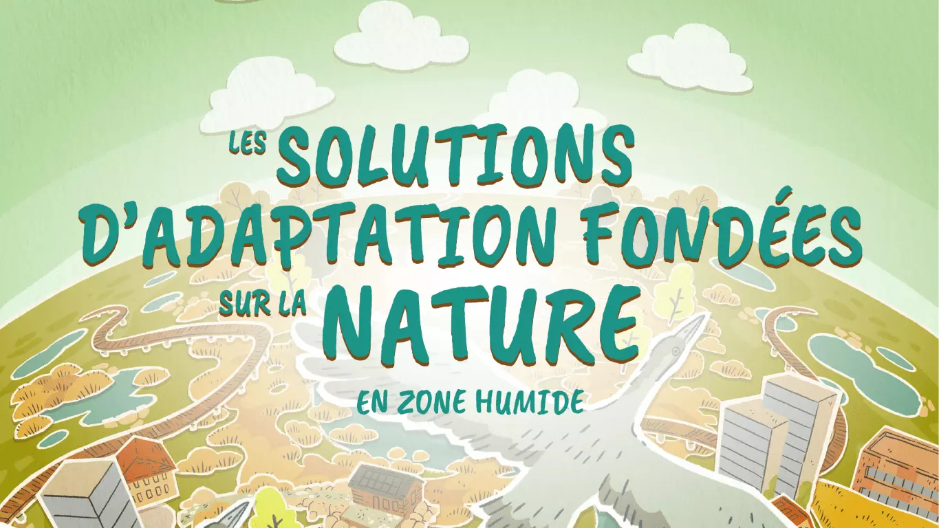 vignette de la vidéo Symsagel Solutions Nature